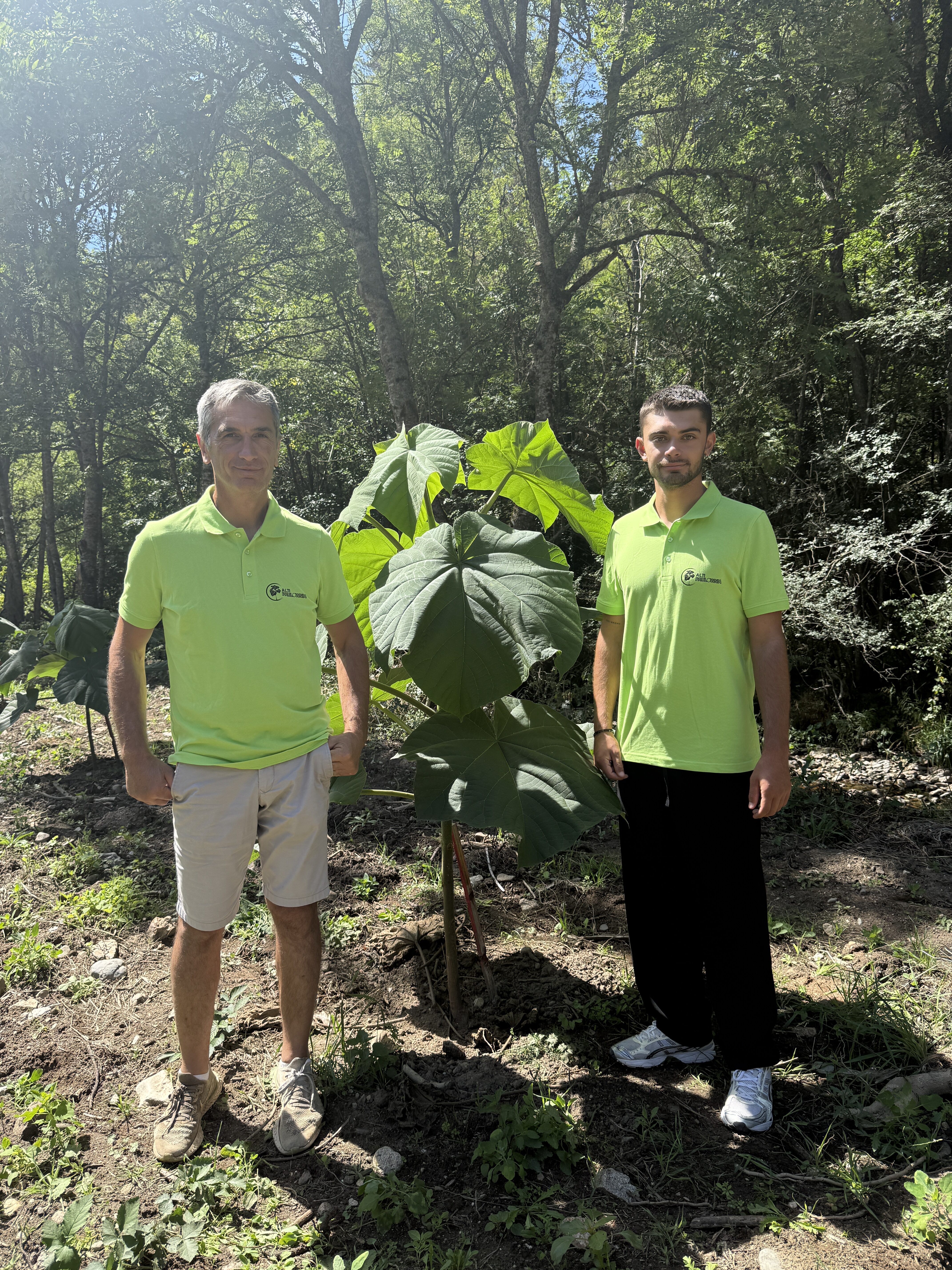 Équipe Alti Paulwonia