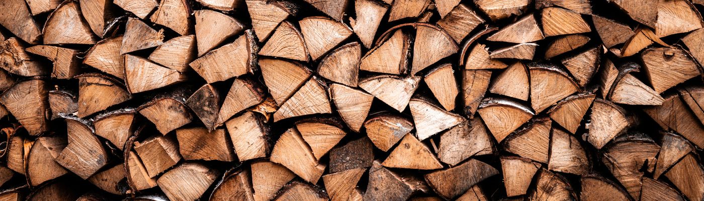 Paulownia bois de chauffage